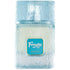 Riiffs Freeze 100ml eau de parfum, ginger tea and sage aromatic fresh perfume